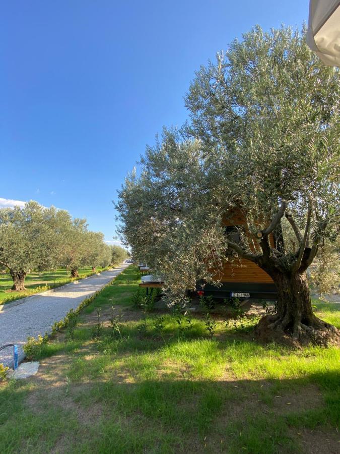 Gulet Tiny House Hotel Ayvacik المظهر الخارجي الصورة