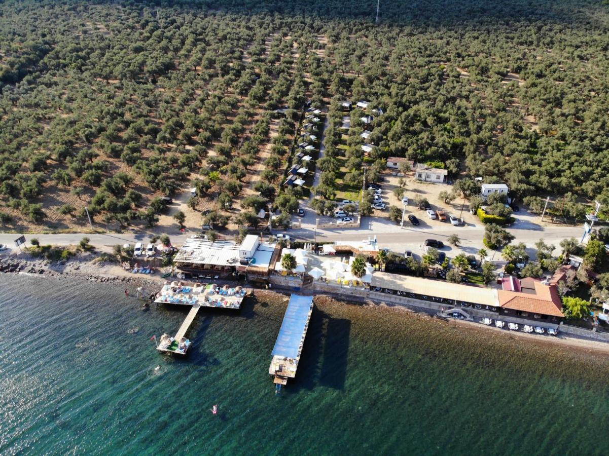 Gulet Tiny House Hotel Ayvacik المظهر الخارجي الصورة