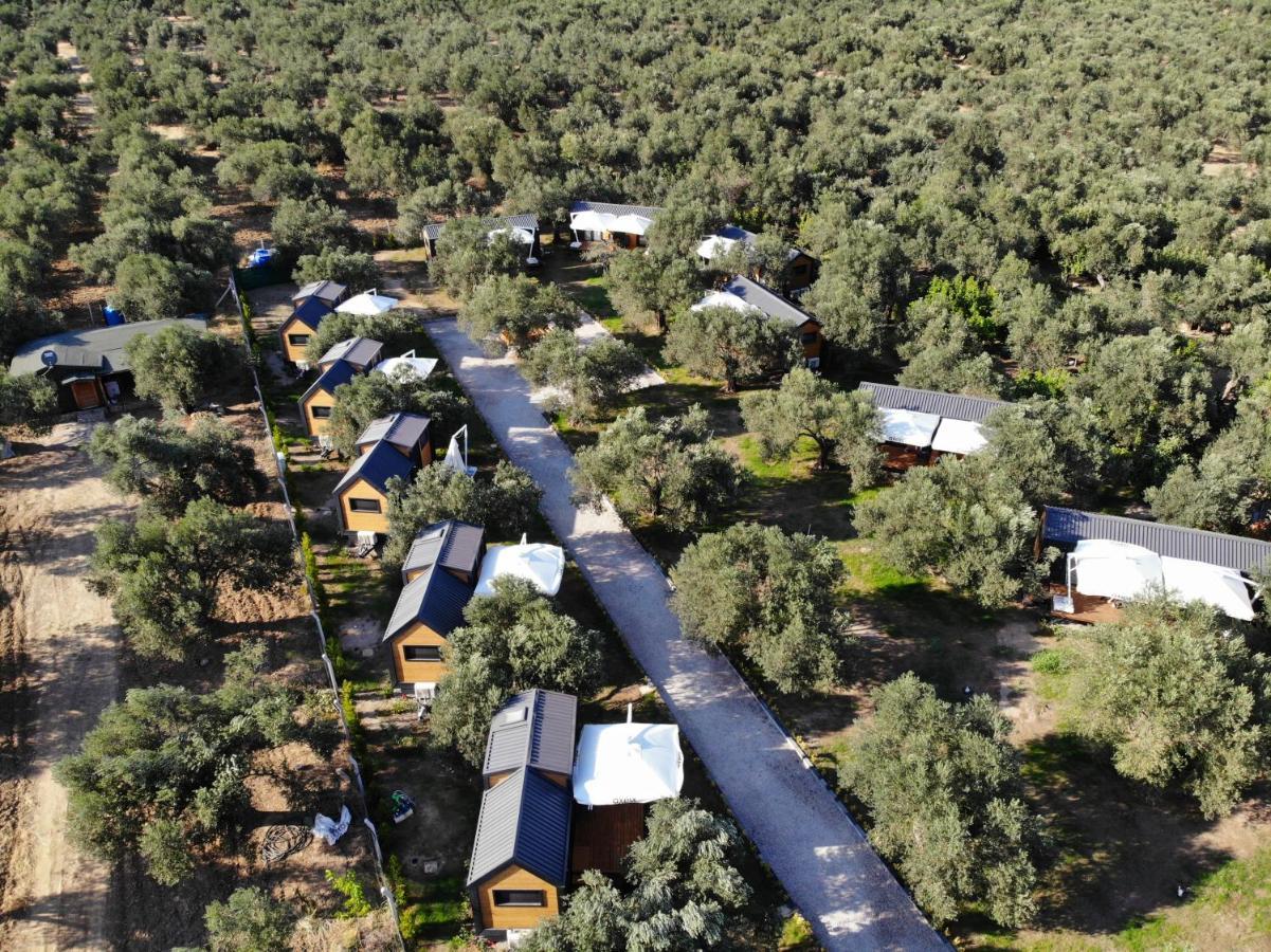 Gulet Tiny House Hotel Ayvacik المظهر الخارجي الصورة
