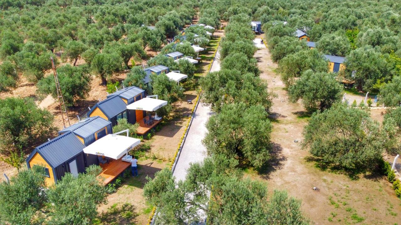 Gulet Tiny House Hotel Ayvacik المظهر الخارجي الصورة