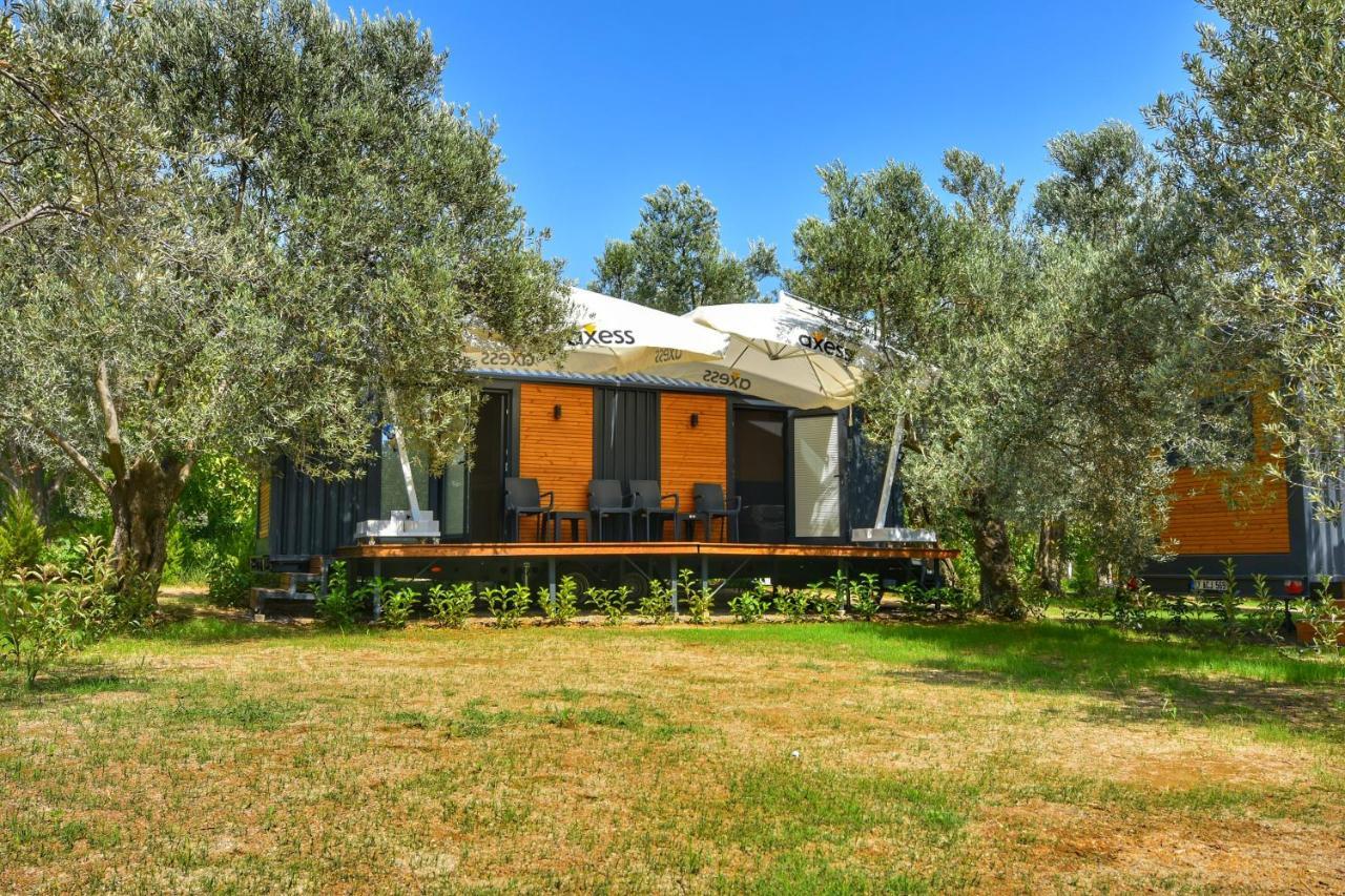 Gulet Tiny House Hotel Ayvacik المظهر الخارجي الصورة